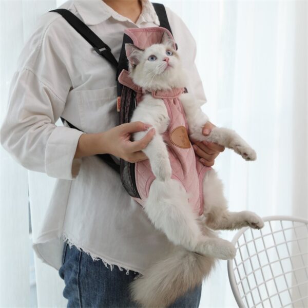 Portable cat backpack for spring outing